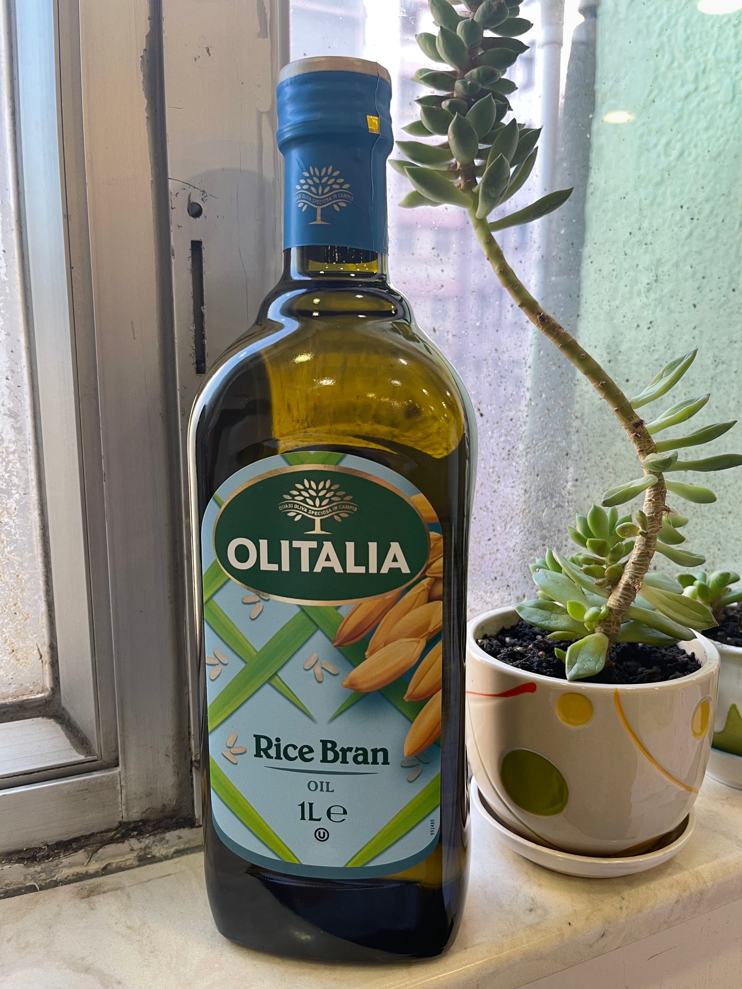 Rice bran oil 1L