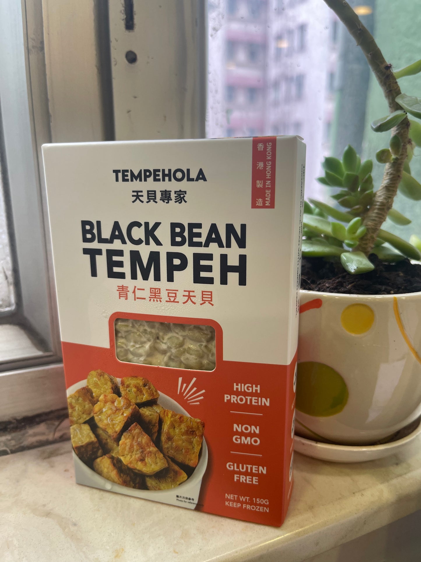 香港制造有機天貝(青仁黑豆天貝)