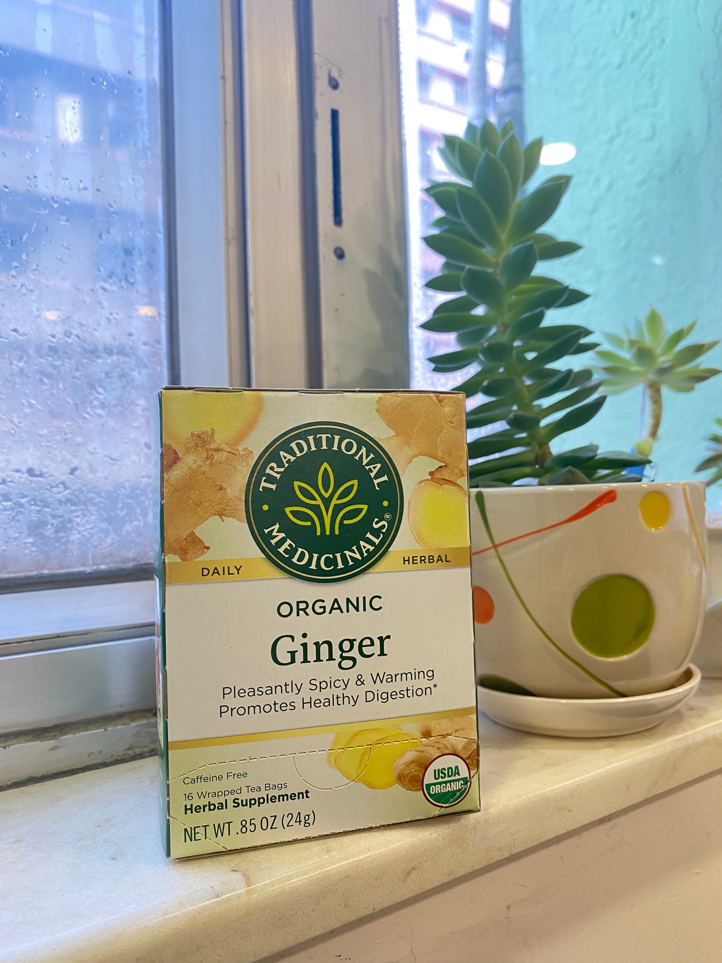 Organic Ginger Tea 24g