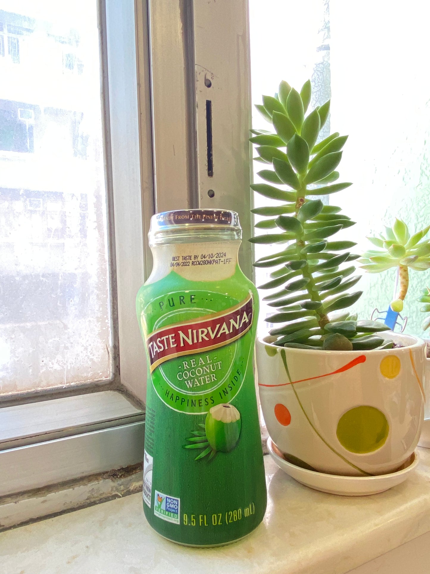 Coconut Green Water 280ml
