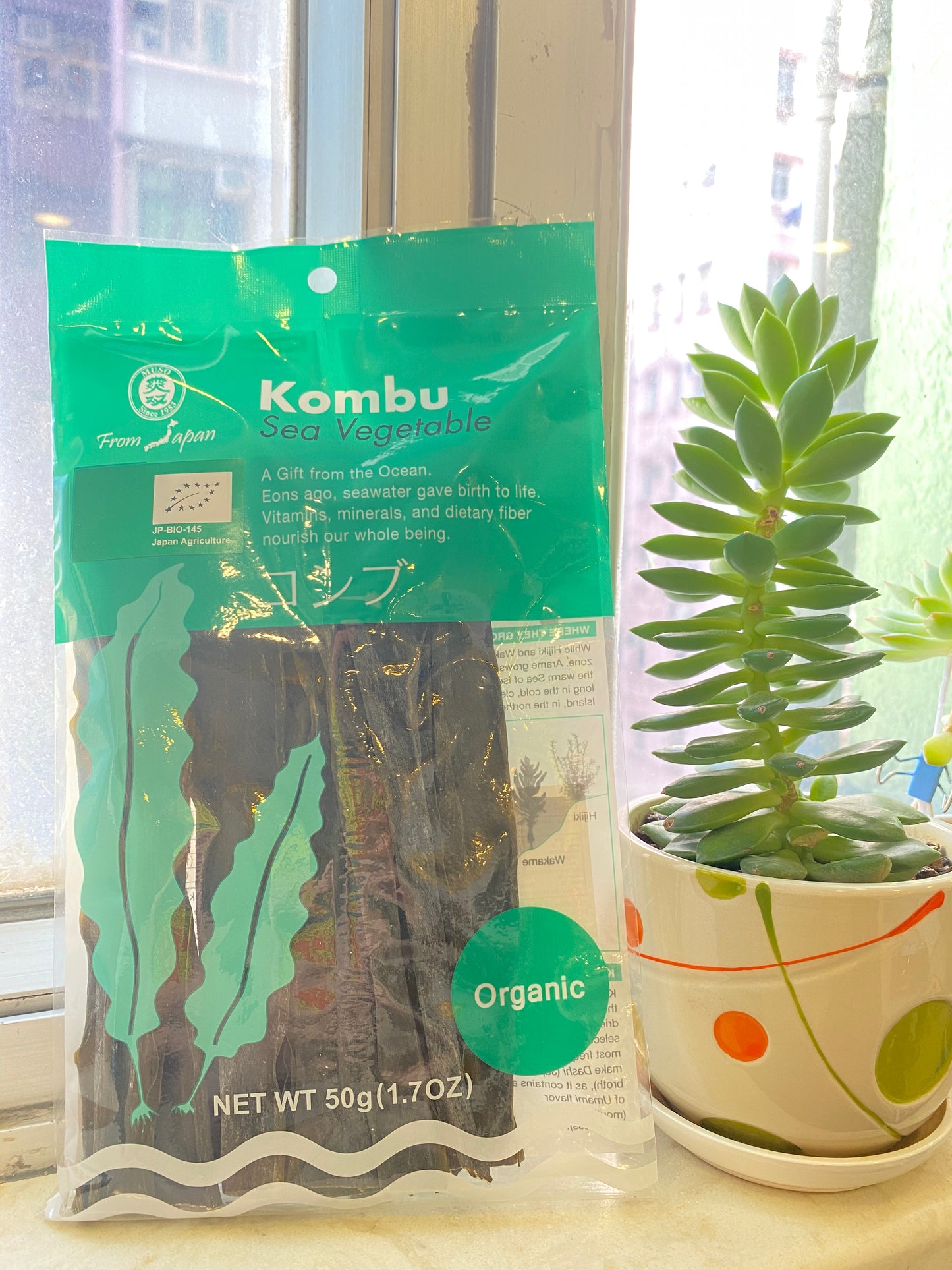 Organic kombu 50g