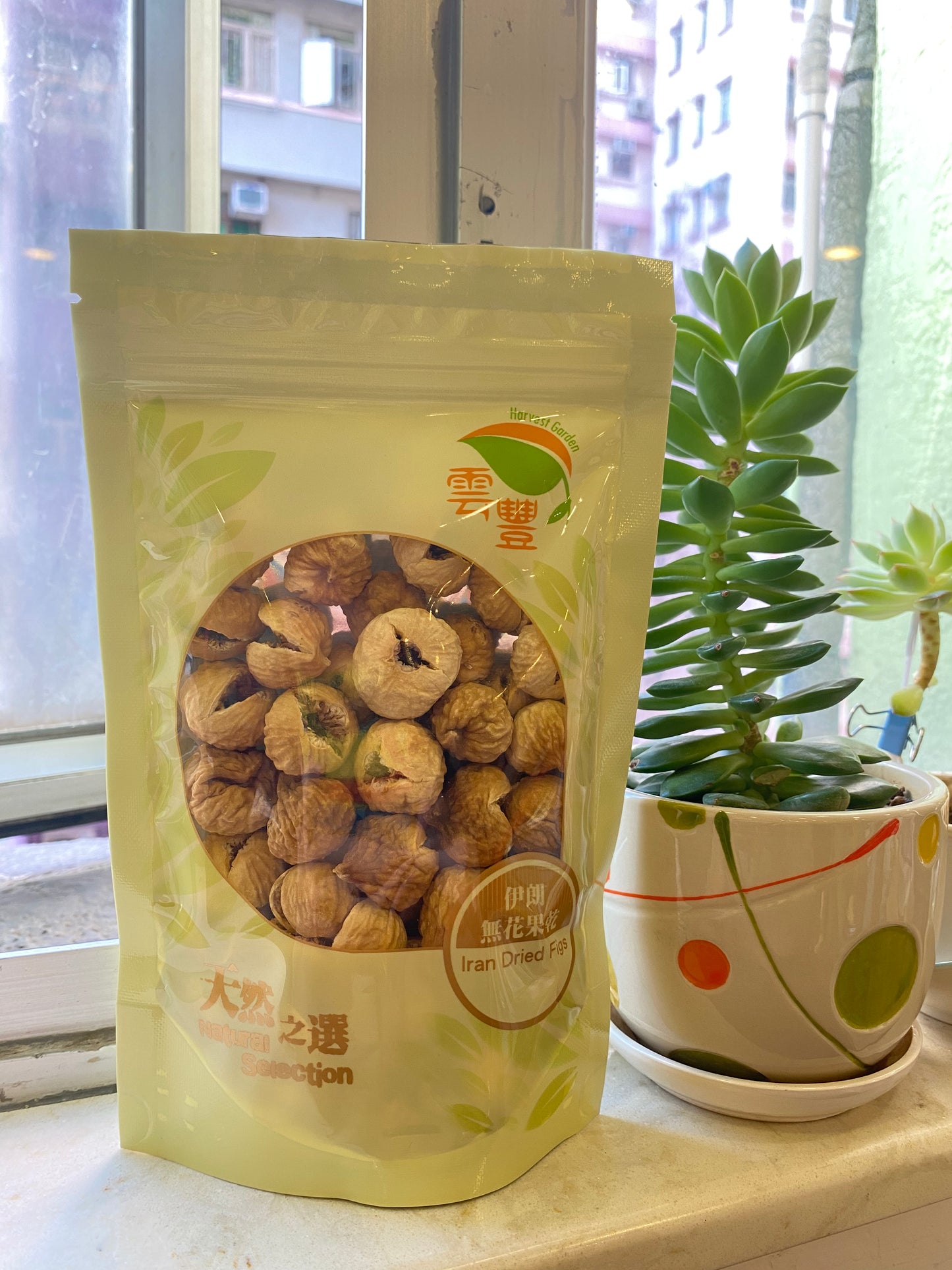 iranian fig