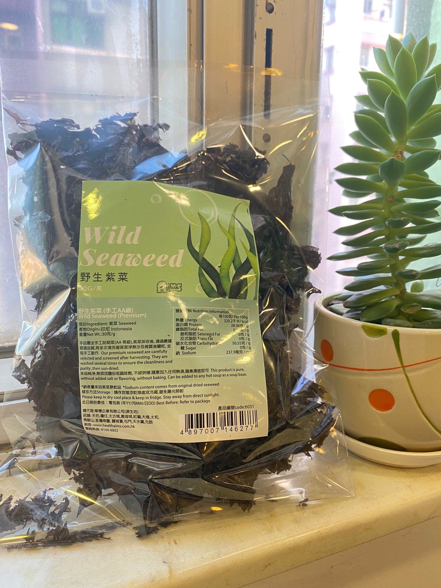 wild seaweed