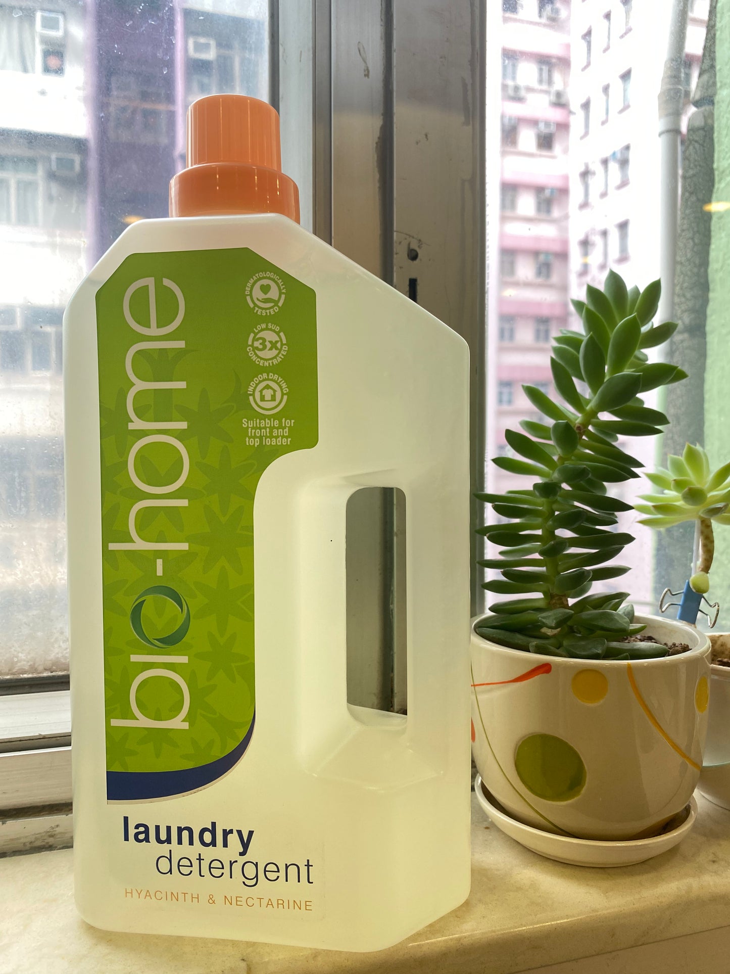 laundry detergent (regular)