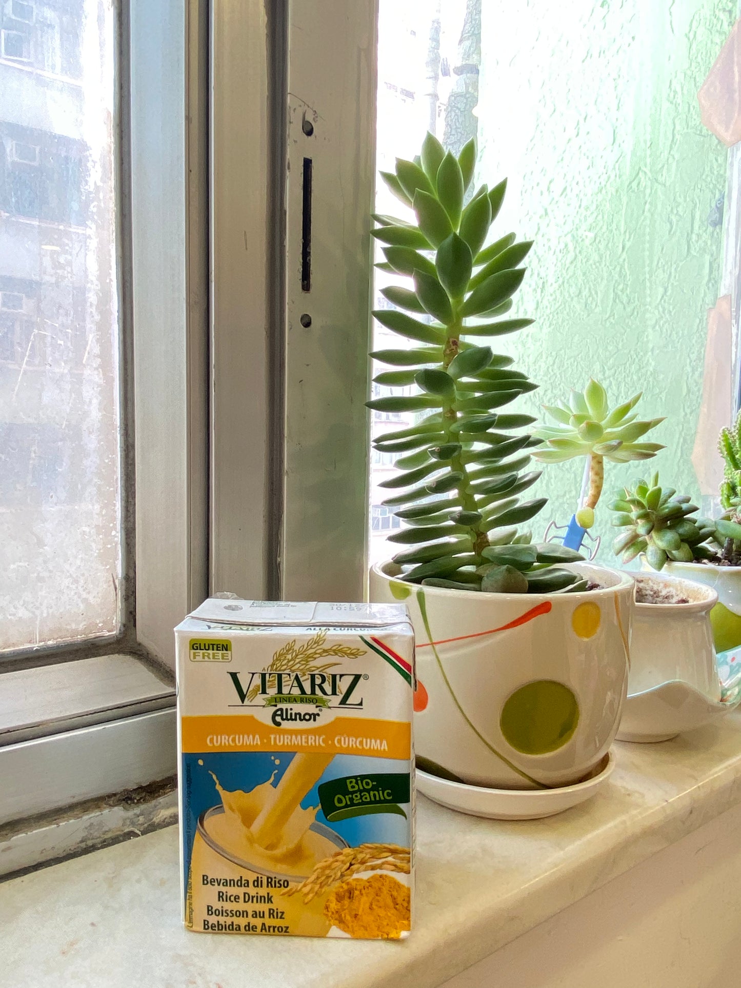 有機天然稻米奶(薑黃味) 200ml